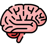 TOTAL MIND BALANCE